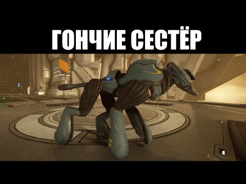 Видео: Warframe | ГОНЧИЕ | Разбор нового вида Компаньонов 🐶