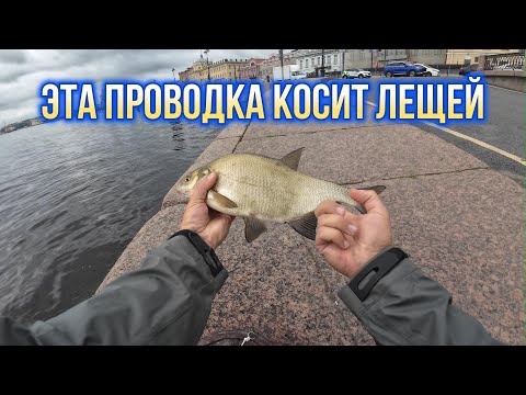 Видео: #наноджиг | Подобрал проводку и напорол лещей |