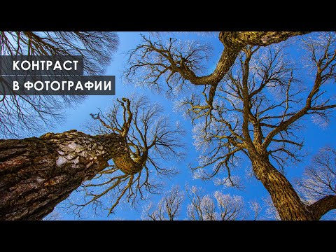 Видео: Контраст в фотографии // Фотострим Евгения Колкова #40