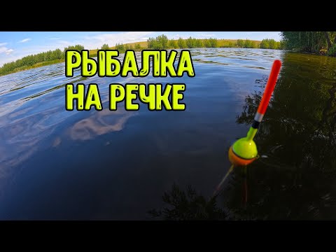 Видео: Рыбалка на поплавок на речке в конце июля!