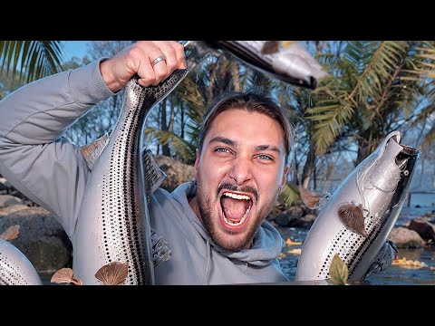 Видео: Ищу самую крупную рыбу в 3 разных играх