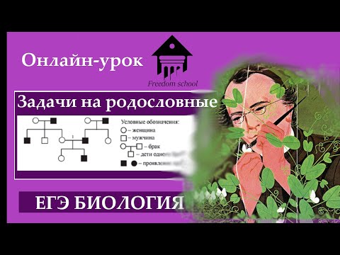 Видео: Как решать родословные? |ЕГЭ БИОЛОГИЯ|Freedom|