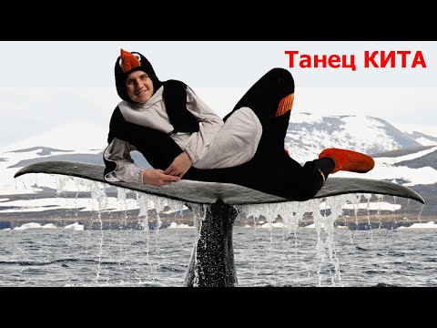 Видео: Танец кита | Детские песни | Танцы для детей