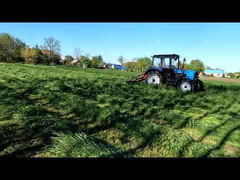 Видео: Косим люцерну на сено, ранняя пора сенокоса сезон 2025. МТЗ 82.1 косилка виракс 1.65.