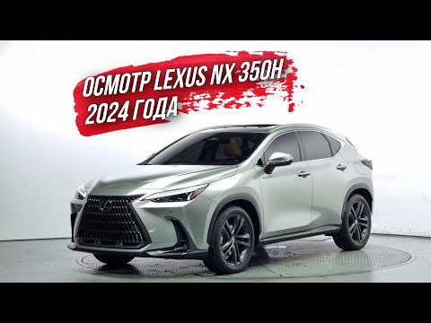 Видео: ОСМОТР LEXUS NX 350h из Южной Кореи🇰🇷
