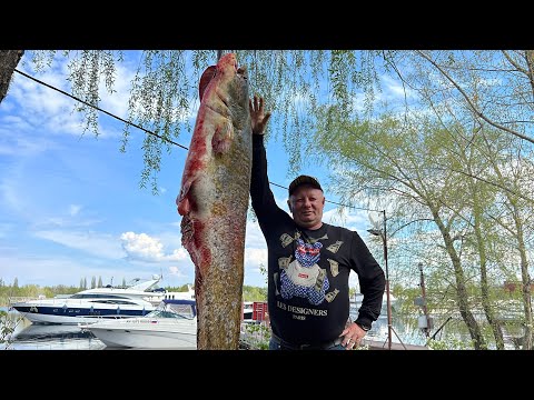 Видео: ПРИГОТОВИЛ ИДЕАЛЬНЫЙ ШАШЛЫК ИЗ СОМА ! РЕЦЕПТ ОТ НАЧАЛА ДО КОНЦА !
 #шашлык #рыба #сом