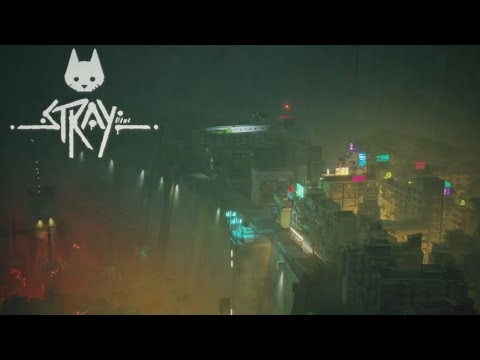 Видео: Играю в Stray 9 серия