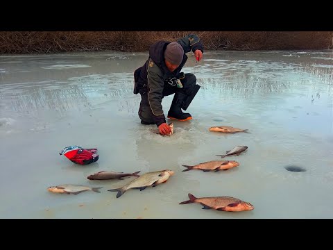 Видео: У ЦІЙ ЯМІ ЗБИЛАСЯ ВЕЛИКА РИБА. Зимова риболовля на ляща