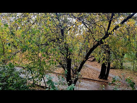 Видео: Делали уроки до 0:30