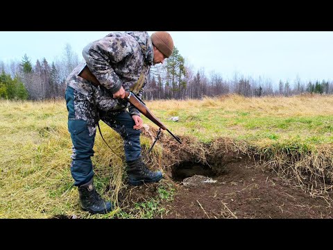 Видео: МЕДВЕДЬ ВСЁ СОЖРАЛ ЧТО БЫЛО ЗАКОПАНО / ОХОТА НА ХИЩНИКА С КАРАБИНОМ ЛОСЬ 145 / SFH VARG L25.