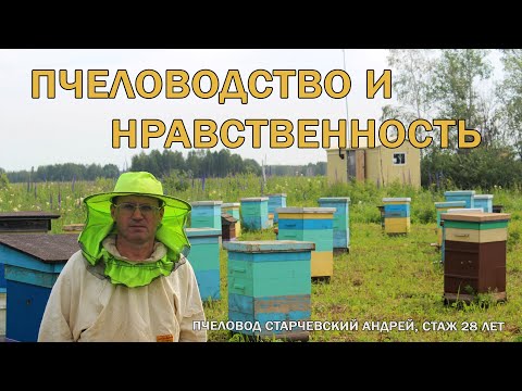 Видео: Пчеловодство и нравственность. Рынок мёда. Пчеловод Старчевский А.Н.