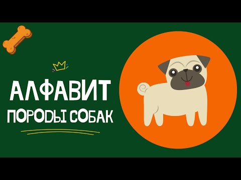 Видео: АЛФАВИТ - ПОРОДЫ СОБАК