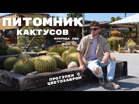 Видео: США, Флорида КАКТУСЫ и СУККУЛЕНТЫ