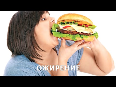 Видео: Ожирение. Вопросы выживания. 2 часть