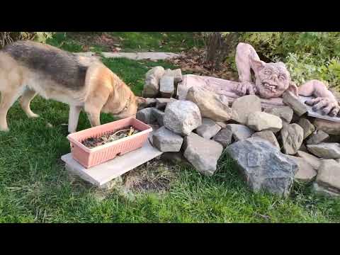 Видео: 4 НОЯБРЯ 2025 ГОДА