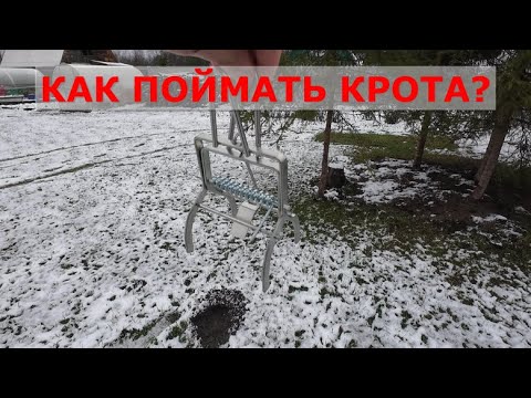 Видео: Как поймать крота? Часть первая. Что-то идёт не так.