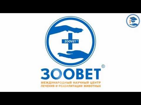 Видео: Работа в ОРИТ. Расчёт доз инфузии с постоянной скоростью.