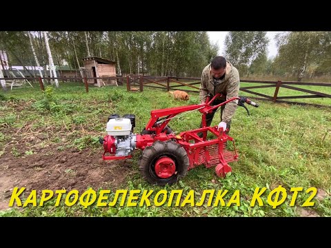 Видео: Наш опыт работы с картофелекопалкой КФТ2 на мотоблоке МТЗ