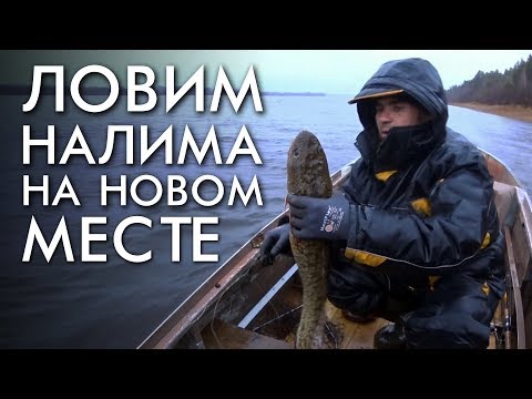 Видео: ЛОВИМ НАЛИМА НА НОВОМ МЕСТЕ