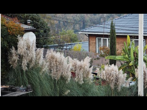 Видео: Жизнь в деревне. 