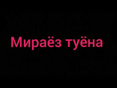 Видео: Мираёз туёна байдиш