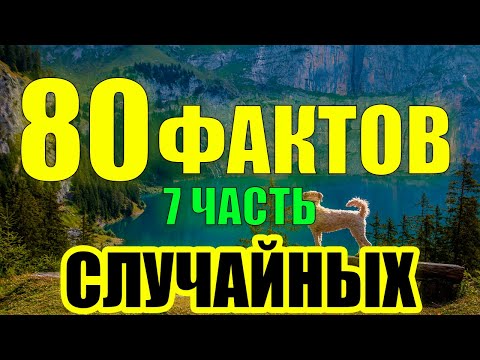 Видео: 80 Случайный Факт, Которые Вы Никогда Не Забудете!
