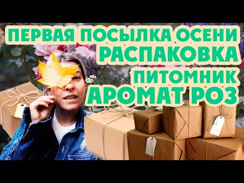 Видео: Первая распаковка Осени 2024. Аромат роз.