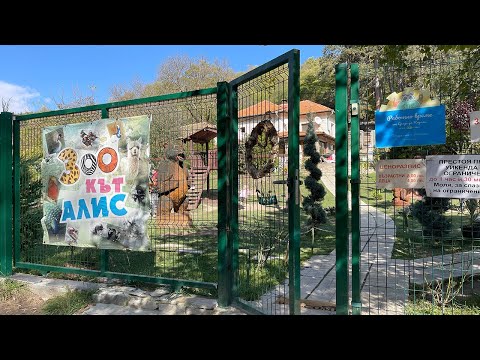 Видео: Зоокът Алис в село Лесковец, Пернишко
