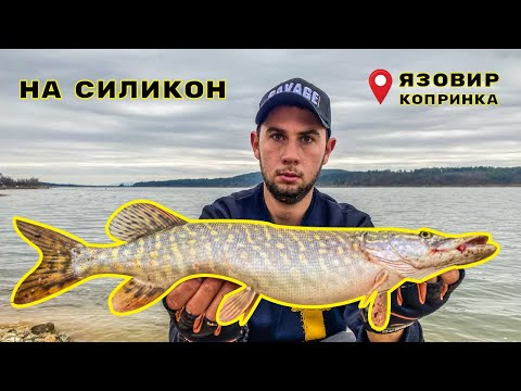 Видео: УДАР след УДАР на СИЛИКОН. Намерих групирани ЩУКИ през ЗИМАТА