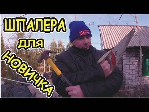 Видео: Почему МОЯ одноплоскостная Шпалера Долго не ПРОСТОИТ / как и из чего сделать /шпалера для новичка
