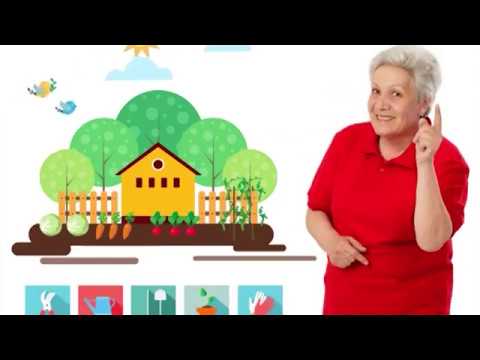 Видео: Голова садовая - Вкуснейшее сдобное тест для пирога