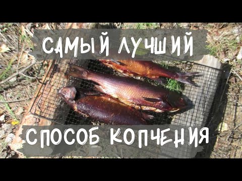 Видео: РЫБА ГОРЯЧЕГО КОПЧЕНИЯ в яме в походных условиях