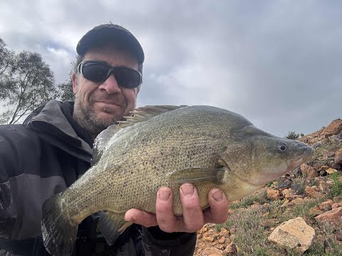 Видео: Желтобрюхий окунь Роклендс, легкая рыбалка с берега у стены!