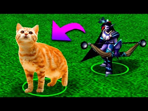 Видео: Превращаюсь в кошку в Warcraft 3