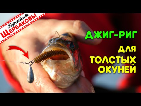 Видео: ДЖИГ-РИГ и толстые ОКУНИ, лодка, бабье лето. ВКУСНЕЙШЕЕ ФИЛЕ рыбы с печёной картошкой