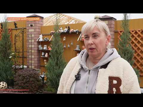 Видео: Гостевые дома региона должны войти в единый реестр