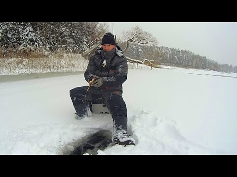 Видео: ИСКАЛ ОКУНЯ, А ОТОРВАЛСЯ ПО ПЛОТВЕ. РЫБАЛКА НА БЛЕСНУ И БЕЗМОТЫЛКИ.