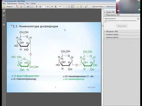 Видео: Ди- и полисахариды