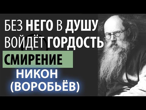 Видео: Всё существо человека пронизано Гордостью! Никон (Воробьев)
