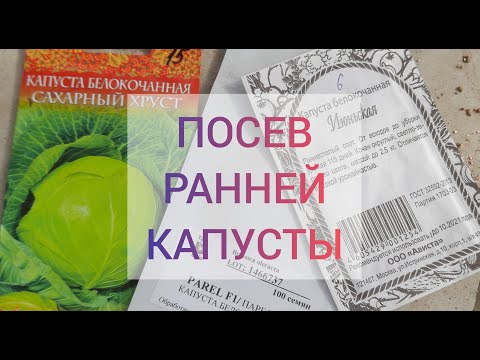 Видео: Сеем капусту в вермикулит