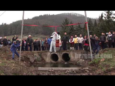 Видео: Тричане на кучета в Бродилово