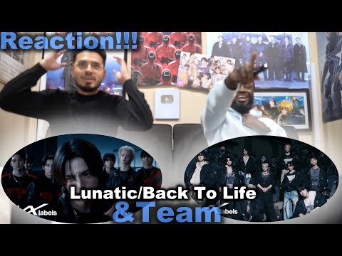 Видео: &TEAM «Lunatic» и «Back To Life» Официальные музыкальные клипы | РЕАКЦИЯ