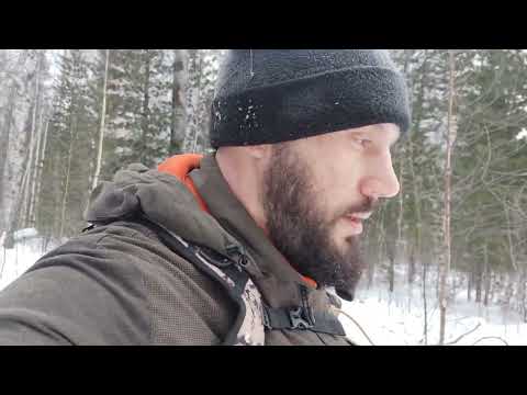 Видео: Отводы лесосек