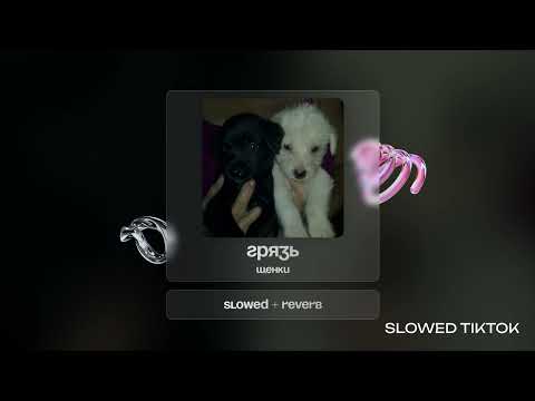 Видео: Щенки - Грязь [Slowed + Reverb]