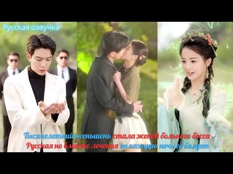 Видео: дорама |Тысячелетний женьшень стала женой больного босса, но вместо лечения он каждую ночь её балует