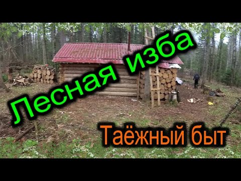 Видео: Лесная изба.Таёжный быт.Делаем грядку.