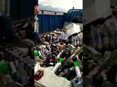 Видео: Ноогардан айылыда 06.09.2019