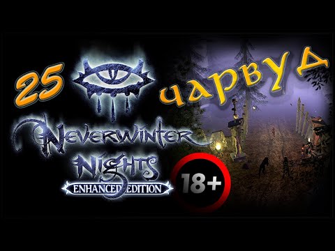 Видео: NWN Enhanced Edition #25 «Замок Джарег»
