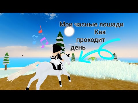 Видео: Мои часные лошади, как проходит день? [ВЛОГ]🤠