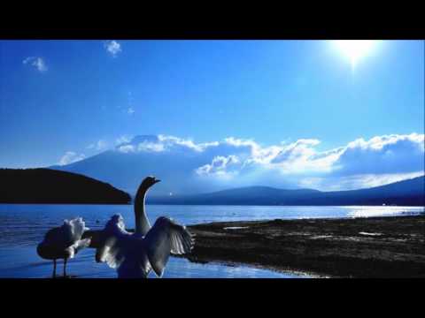 Видео: Николай Носков -ОЗЕРА